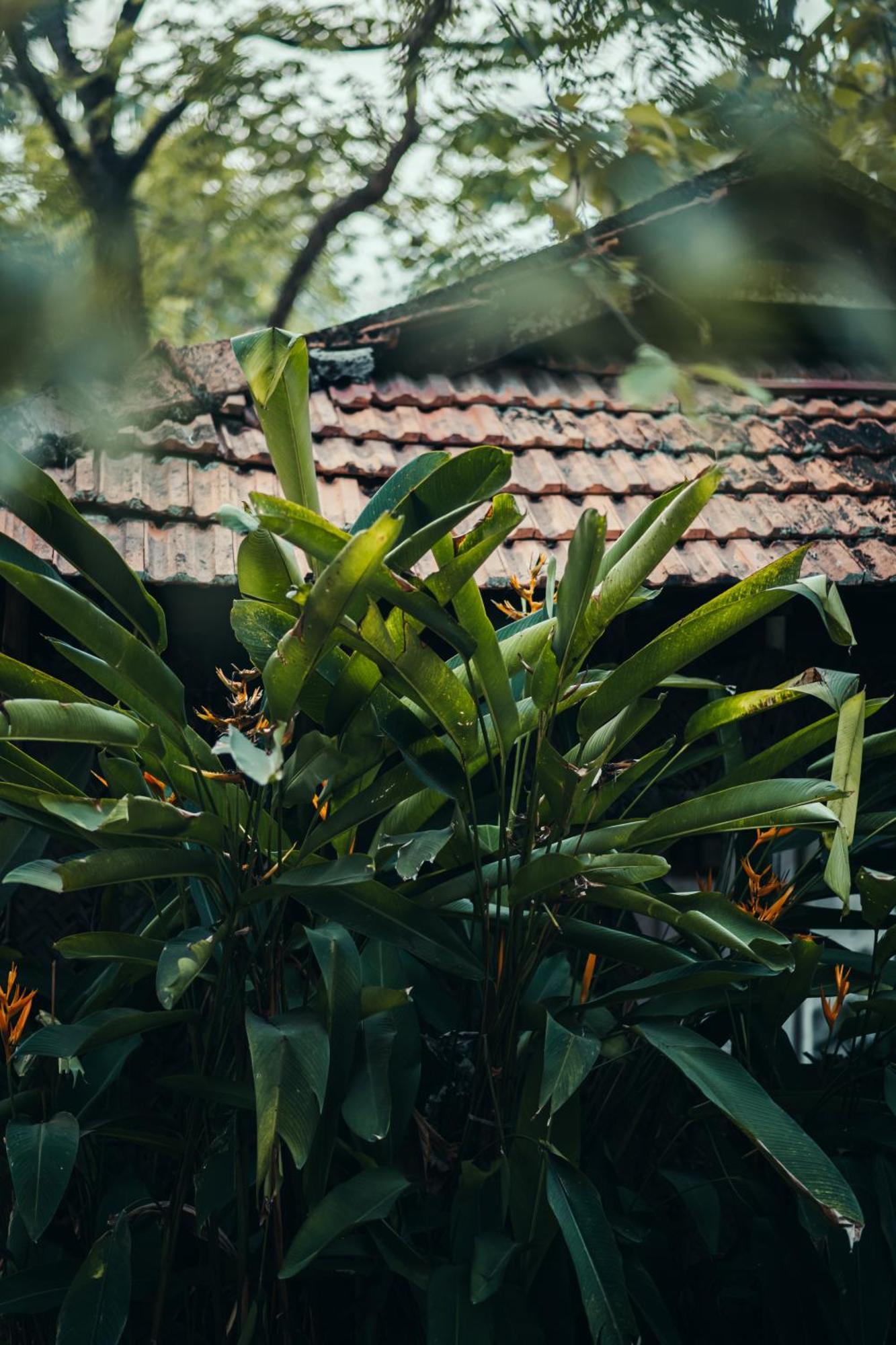 Paddlecult Surf Retreat Bed & Breakfast Varkala Eksteriør bilde