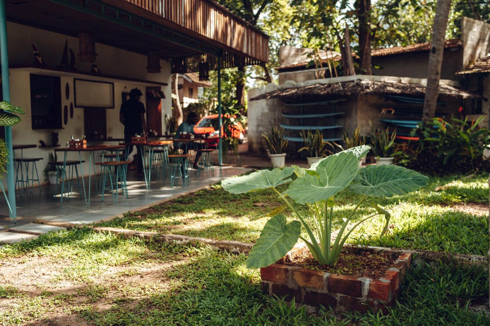 Paddlecult Surf Retreat Bed & Breakfast Varkala Eksteriør bilde