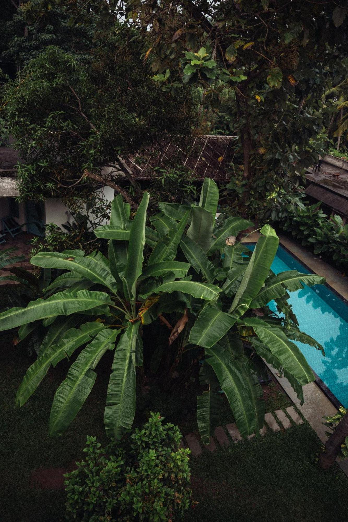 Paddlecult Surf Retreat Bed & Breakfast Varkala Eksteriør bilde